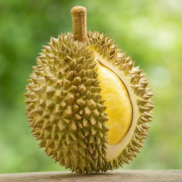 Buah durian, tema Rumah Cenderawasih