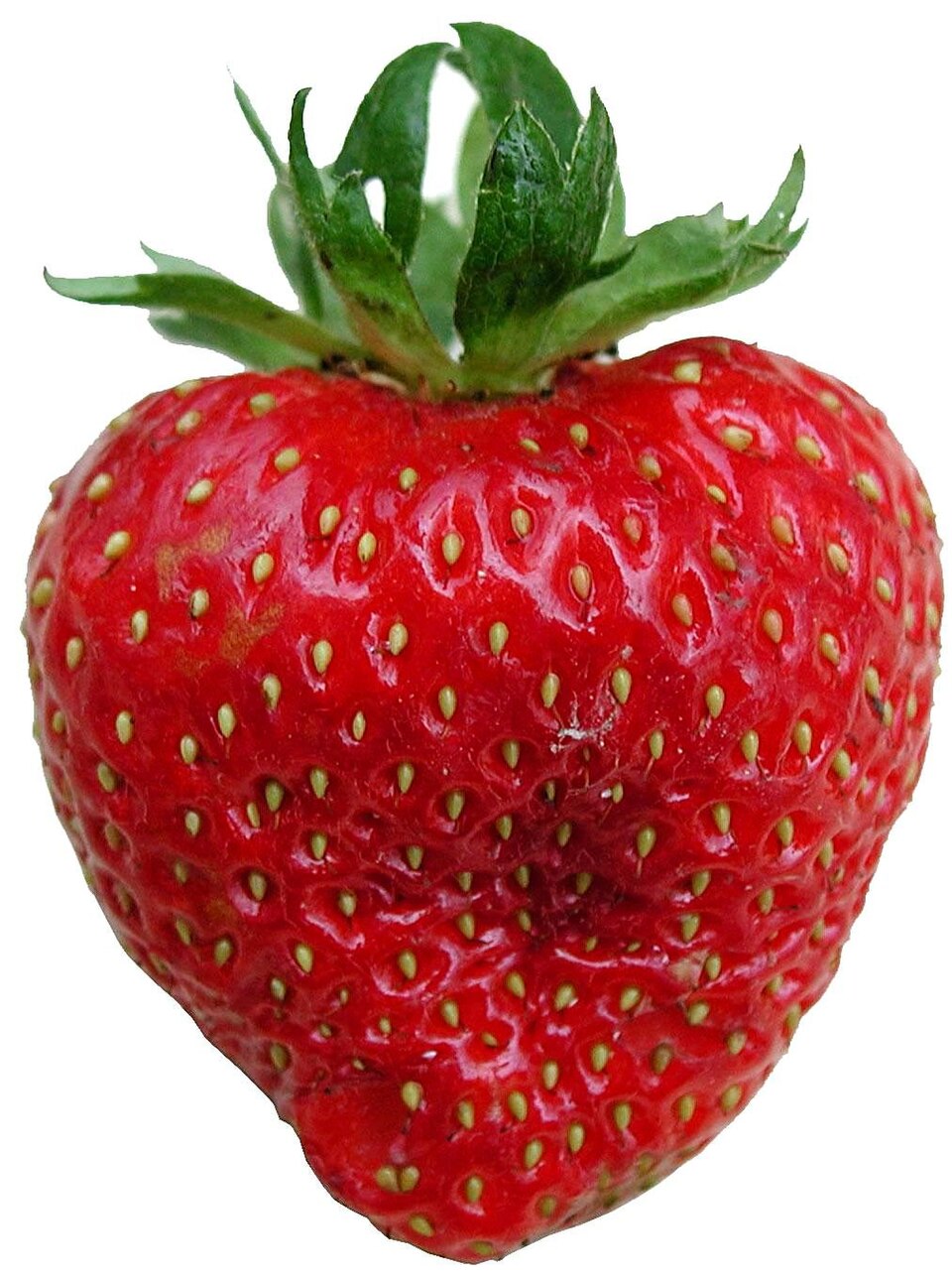 Buah strawberi, tema Rumah Kenyalang